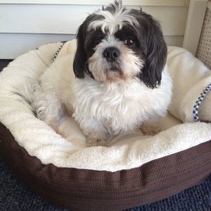 Meet your Posher, Donna